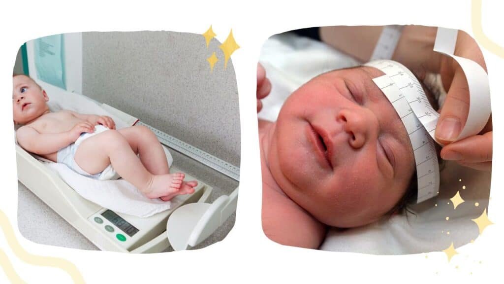 newborn assessment - baby's measurements