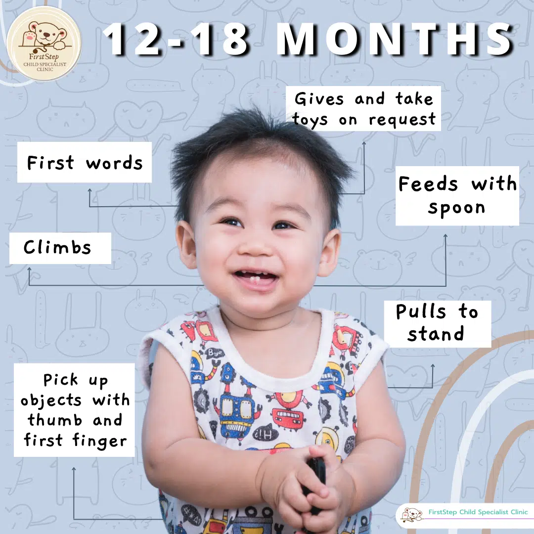 Toddler Milestone : Children 12-18 months