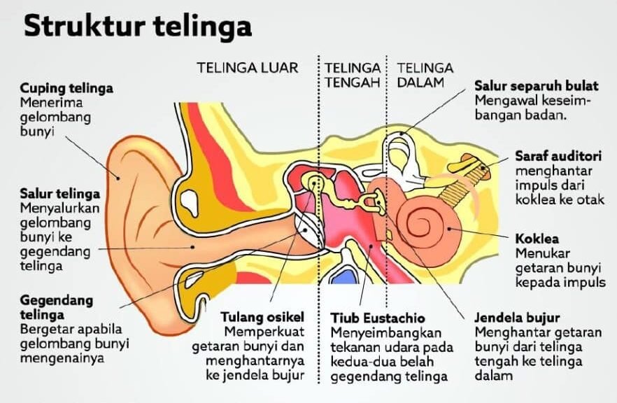 Ear infection