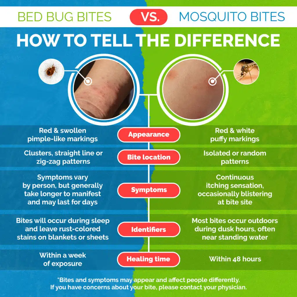 What does mosquito bite looks like?