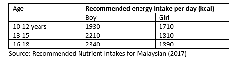 recommended energy intake for teenager