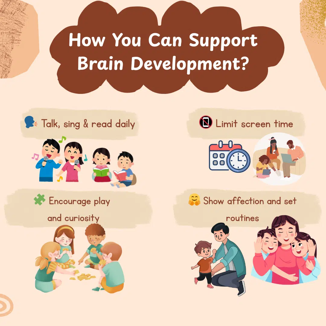 Brain Development