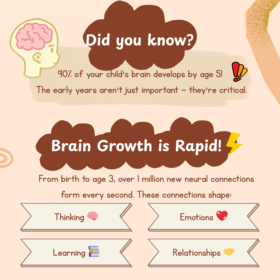Brain Development