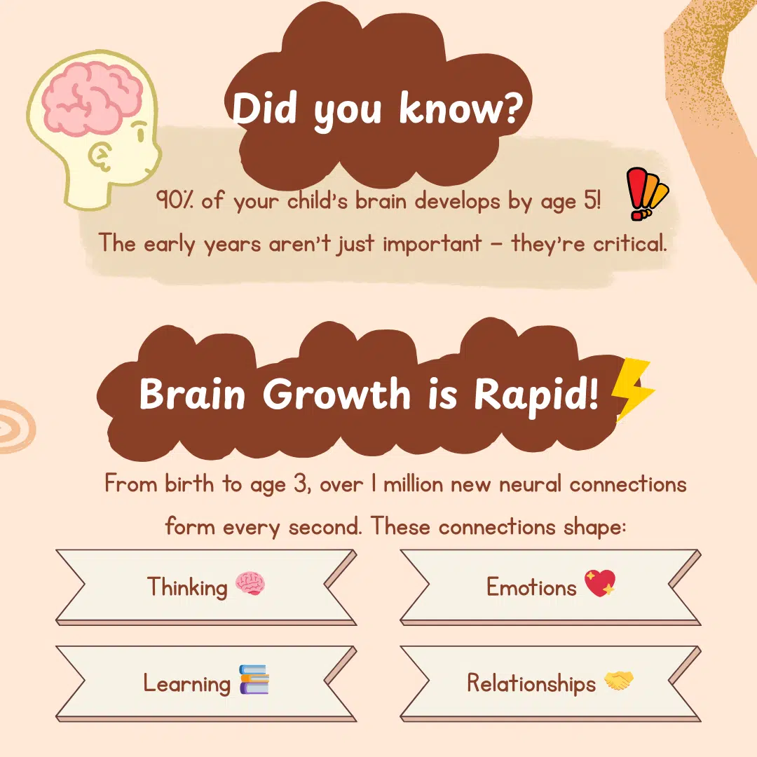 Brain Development