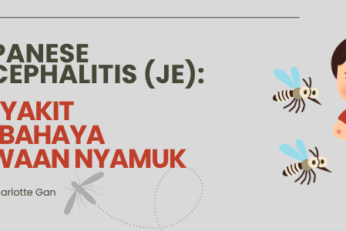 Klinik Pakar Kanak Kanak dan Pakar Pediatrik 24 Japanese Encephalitis (JE)